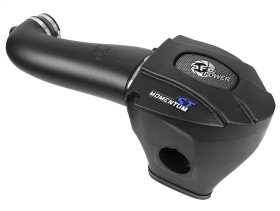Momentum GT Pro DRY S Air Intake System 50-40010D